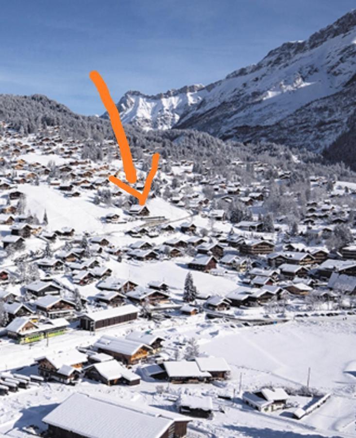 Studio Avec Vue Splendide Sur Les Diablerets Kültér fotó