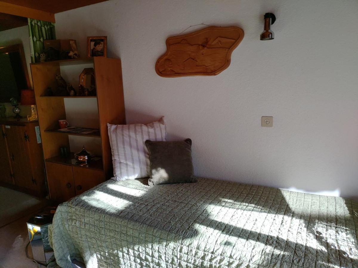 Studio Avec Vue Splendide Sur Les Diablerets Kültér fotó
