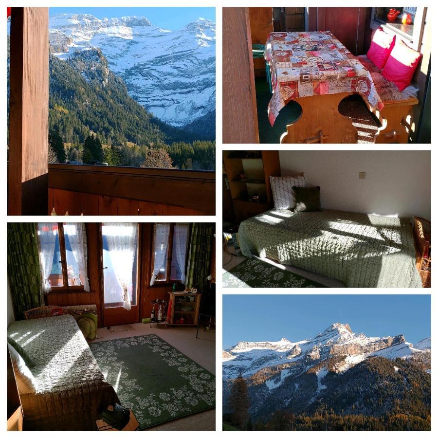 Studio Avec Vue Splendide Sur Les Diablerets Kültér fotó