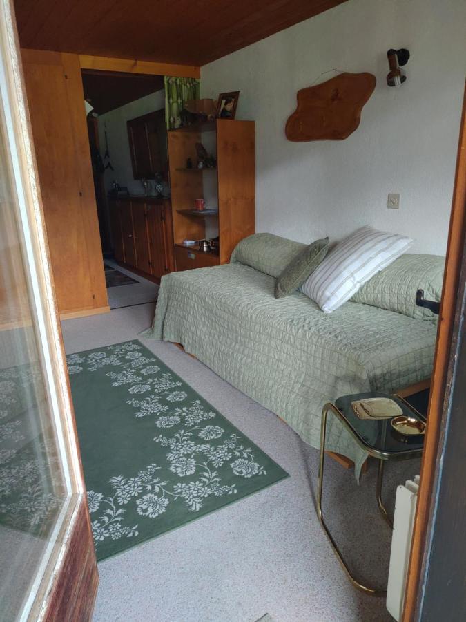 Studio Avec Vue Splendide Sur Les Diablerets Kültér fotó