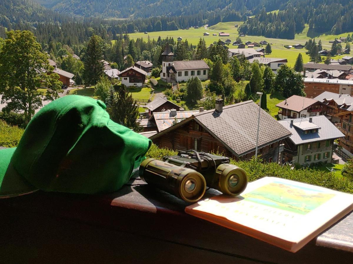 Studio Avec Vue Splendide Sur Les Diablerets Kültér fotó